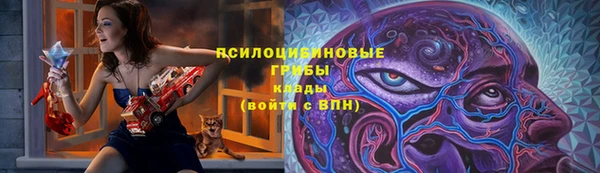 ешки Алексеевка