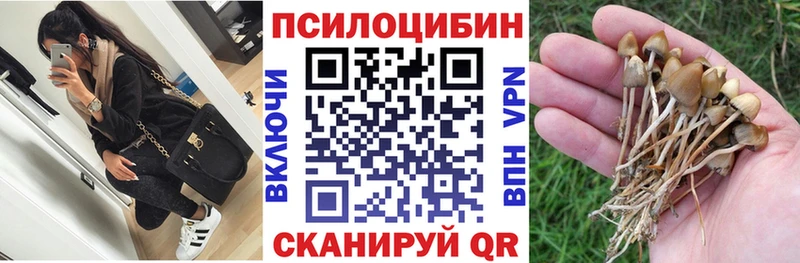 мега зеркало  дарк нет как зайти  Галлюциногенные грибы прущие грибы  Аксай 